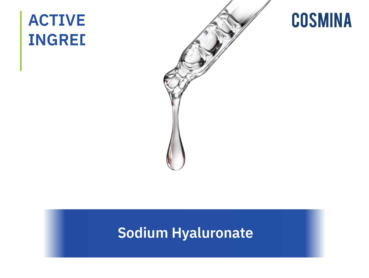 Sodium Hyaluronate Solubility – SAFETY DATA SHEET – TTRAW